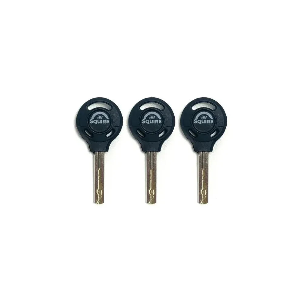 Squire Matterhorn Mini Disc Lock With Reminder Cable Black