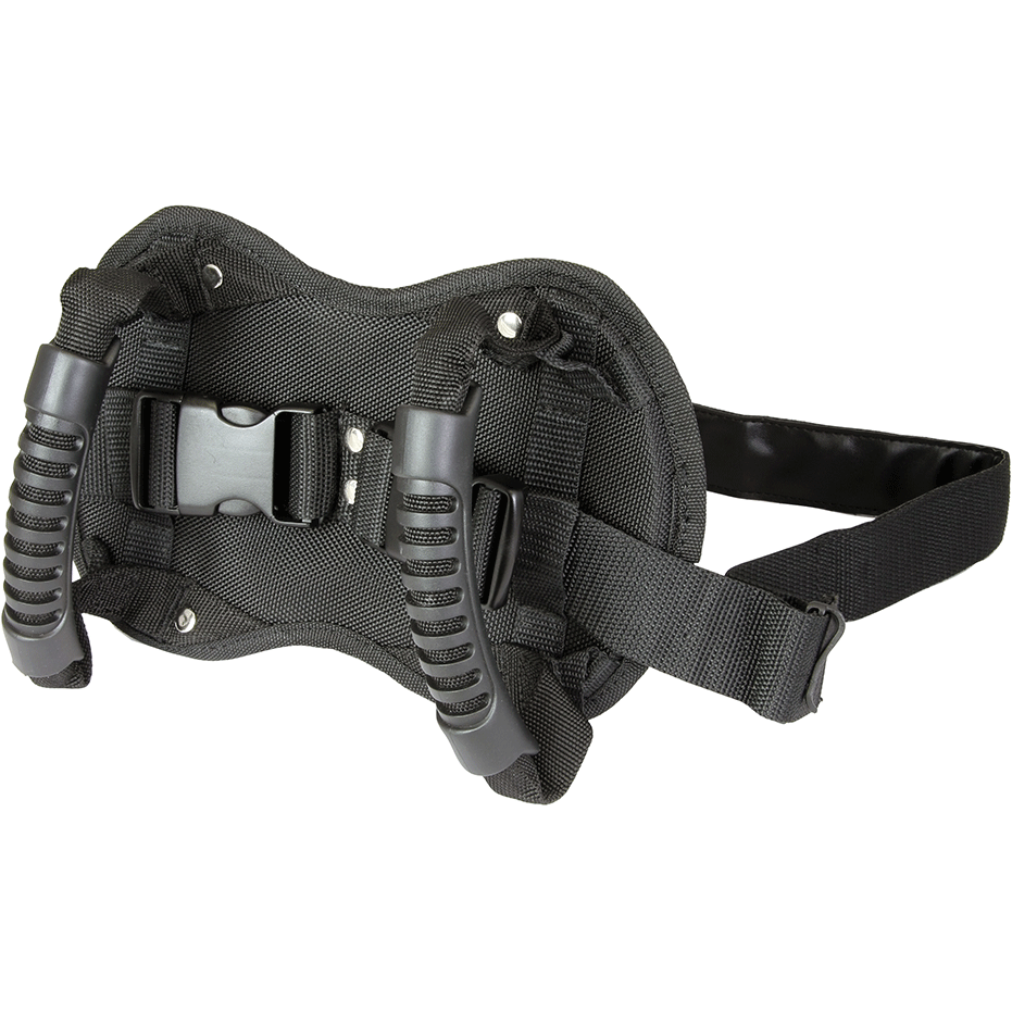 Bike It Pillion Buddy Rider Waist Belt FREE 1 YEAR Returns, FREE UK Delivery | ThrottleChimp
